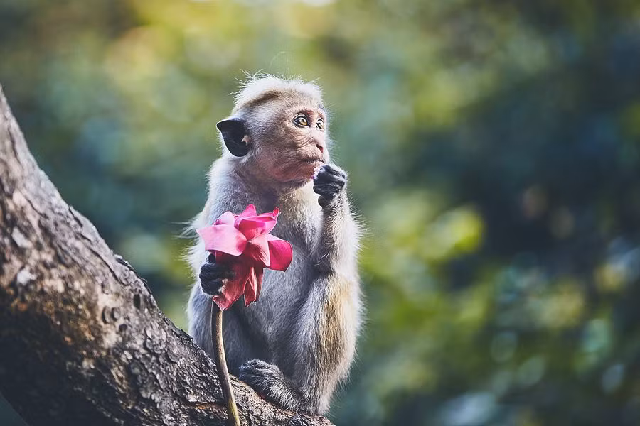 Trong 14 ngày tới, mọi việc sẽ được cải thiện, tình hình thay đổi, những điều bạn muốn làm là có thể làm được. Tiền bạc từ đó rủng rỉnh hơn, nâng cao chất lượng cuộc sống. 