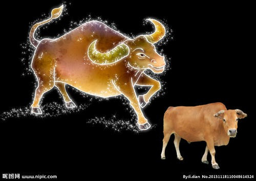 Từ đó, không khí trong gia đình được cải thiện rõ rệt, tươi vui và hạnh phúc hơn nhiều. 