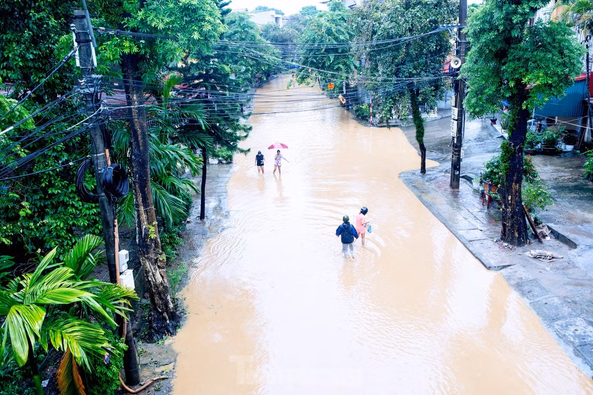 Trong 12 - 24 giờ tới, lũ trên sông Hồng tiếp tục lên và dao động ở mức cao. Đến 19h00 ngày 8/9 khả năng lên mức 32,50m, trên báo động 3 là 0,5m), sau dao động ở mức cao.