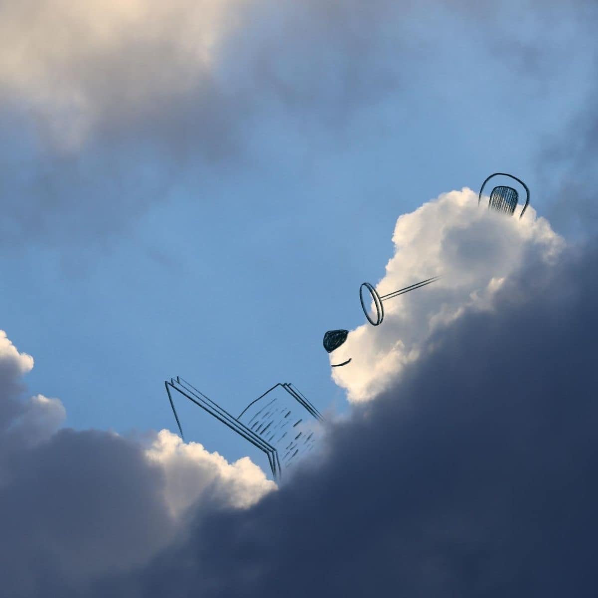 Hay chú gấu "mọt sách" đang chăm chú đọc sách.