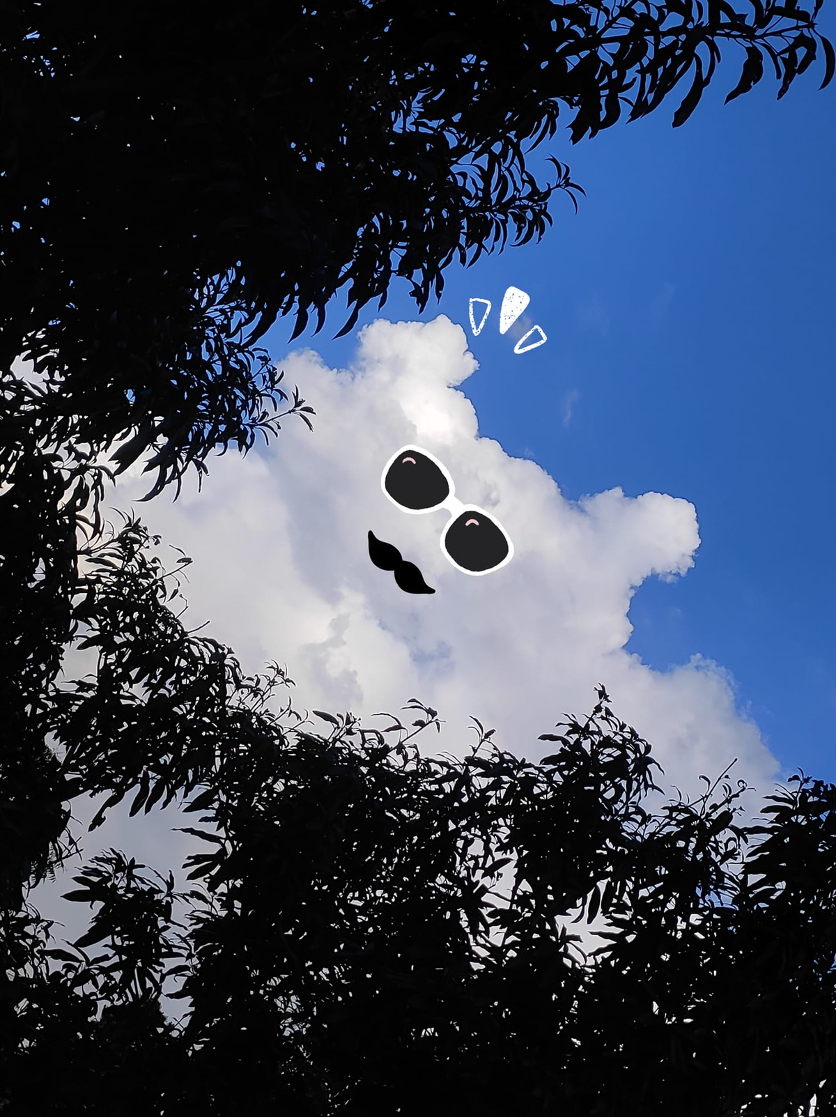 Chỉ cần thêm một vài sticker có sẵn là đã tạo nên một chú gấu xinh xắn. (Ảnh: Tổng hợp Tiktok)