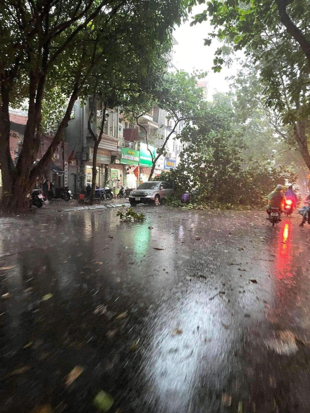 Cơn giông bất ngờ kèm gió mạnh khiến nhiều cây cối đổ, gãy chắn ngang đường.