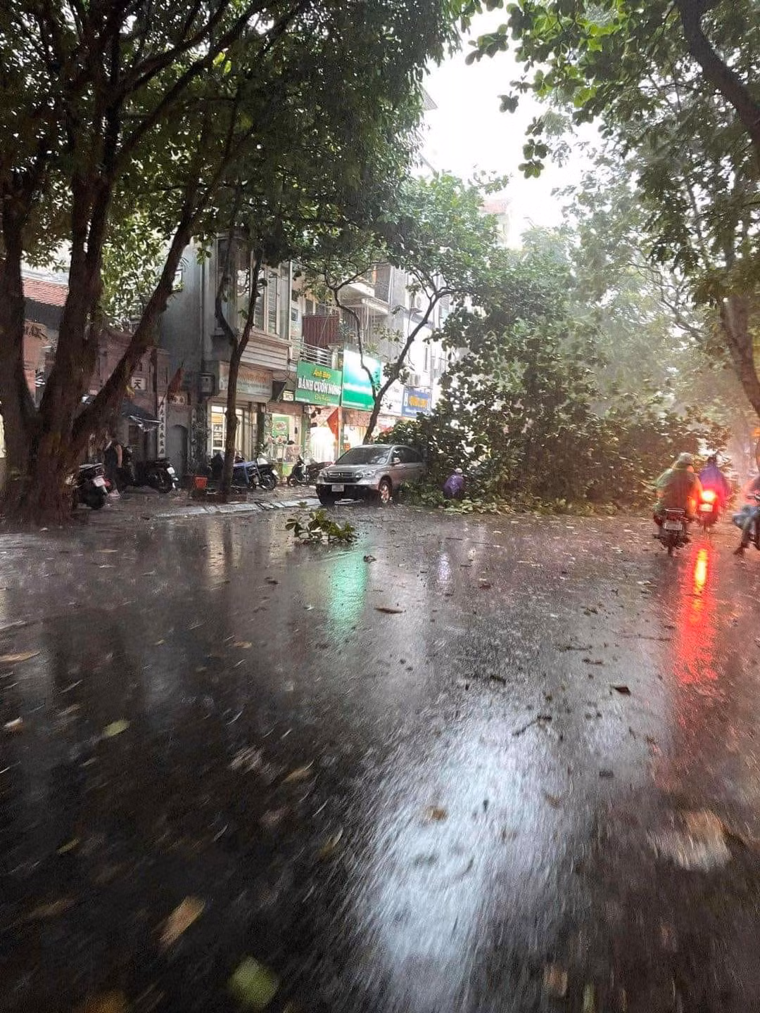 Cơn giông bất ngờ kèm gió mạnh khiến nhiều cây cối đổ, gãy chắn ngang đường.