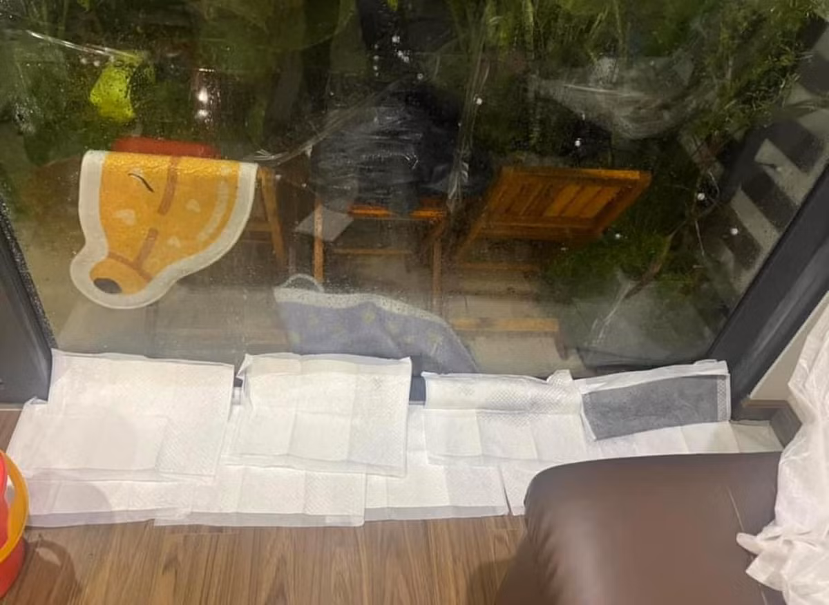 Nhiều người đã lên MXH chia sẻ lại những cách làm của gia đình mình, tận dụng mọi vật dụng có trong nhà để chống bão.