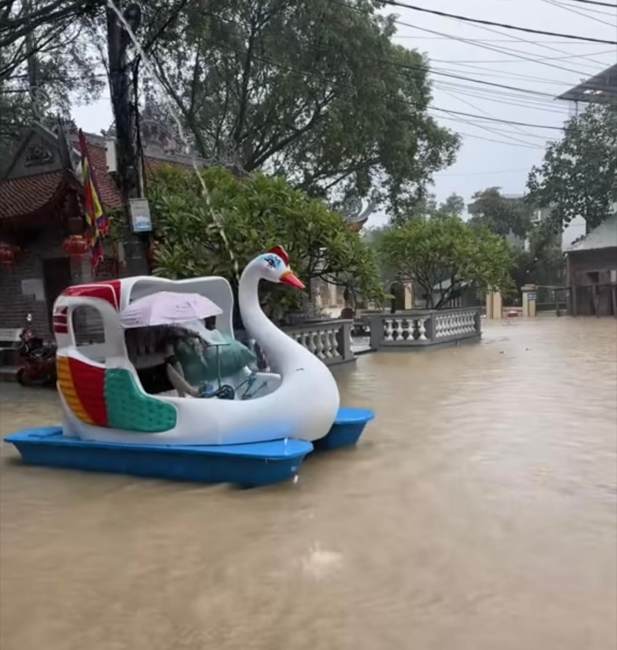 Đoạn video người dân ở Thường Tín di chuyển bằng cách đạp vịt đã thu hút nhiều sự chú ý trên mạng xã hội.