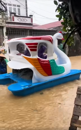 "Đúng là dân Việt Nam gì cũng nghĩ ra được", "vịt hồ Tây đã đến với Thường Tín", "đáng yêu quá, đúng là trong cái khó ló cái khôn" - netizen bình luận khi nhìn thấy đoạn video đạp vịt trên MXH.