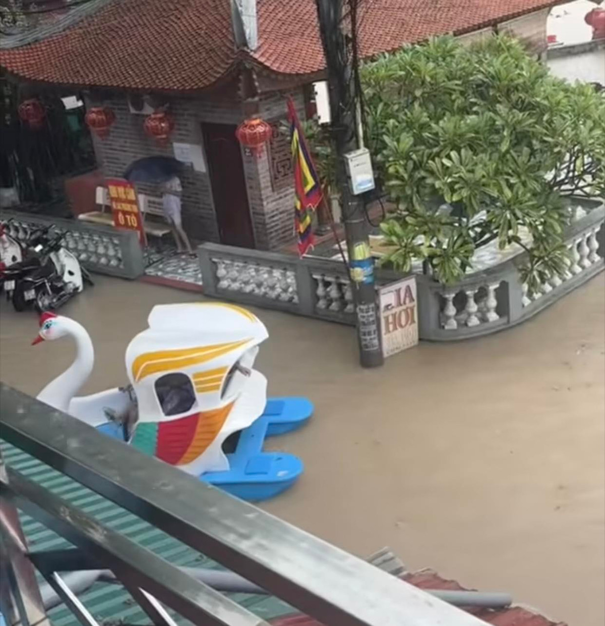 Trong hoàn cảnh "bị bao vây bởi nước", việc di chuyển bằng đạp vịt là vô cùng sáng tạo. Hình ảnh chiếc thuyền vịt "chill chill" đi lại giữa dòng nước lũ khiến nhiều người không khỏi bật cười vì quá đáng yêu.