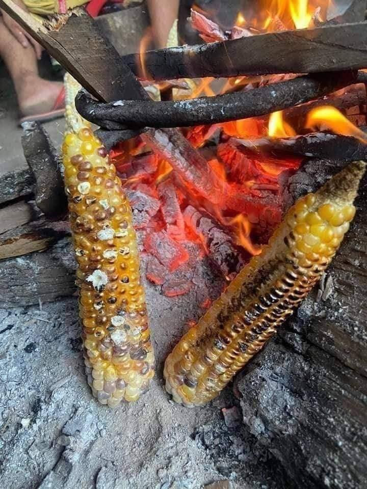 Ngô nướng vùi than ngon phải biết.