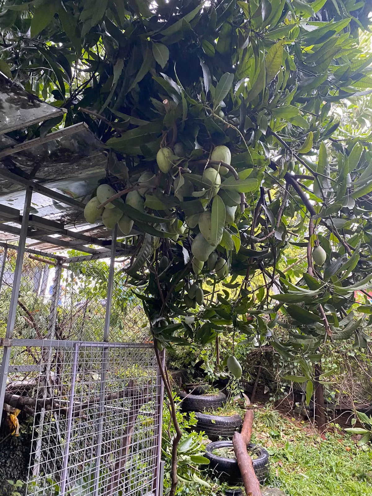 Nhiều người còn đăng lên cả địa chỉ, để mọi người có thể ra nhặt về cho đỡ phí của.