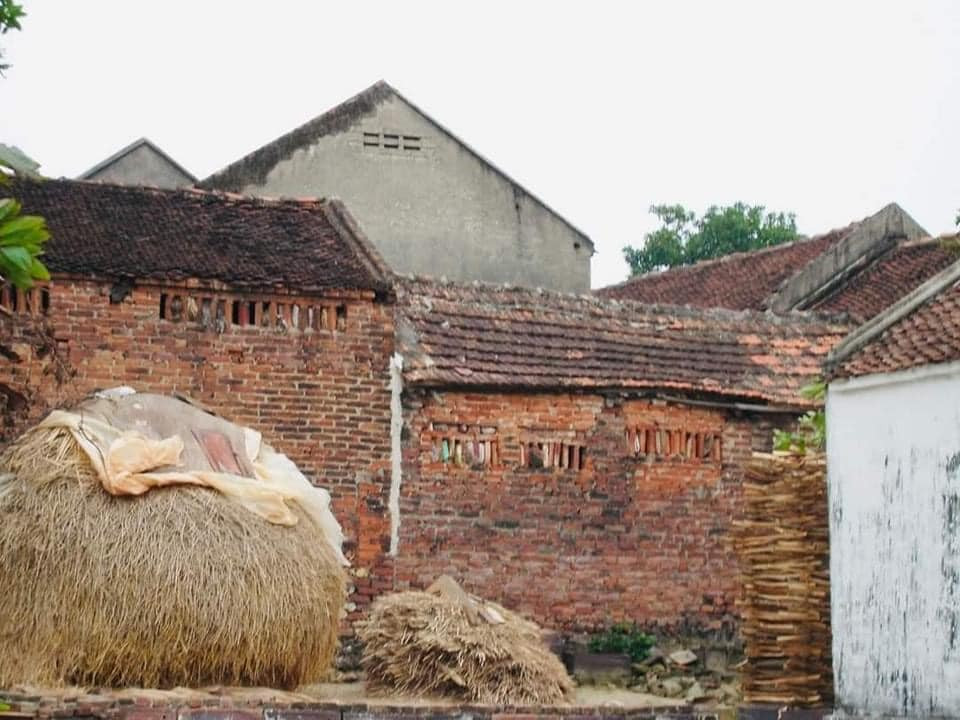 Chồng củi được chẻ ra, xếp sẵn.