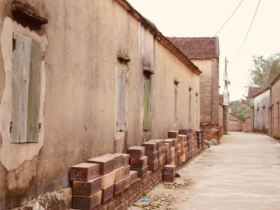 Ở một số ngõ làng đã được đổ bê tông.