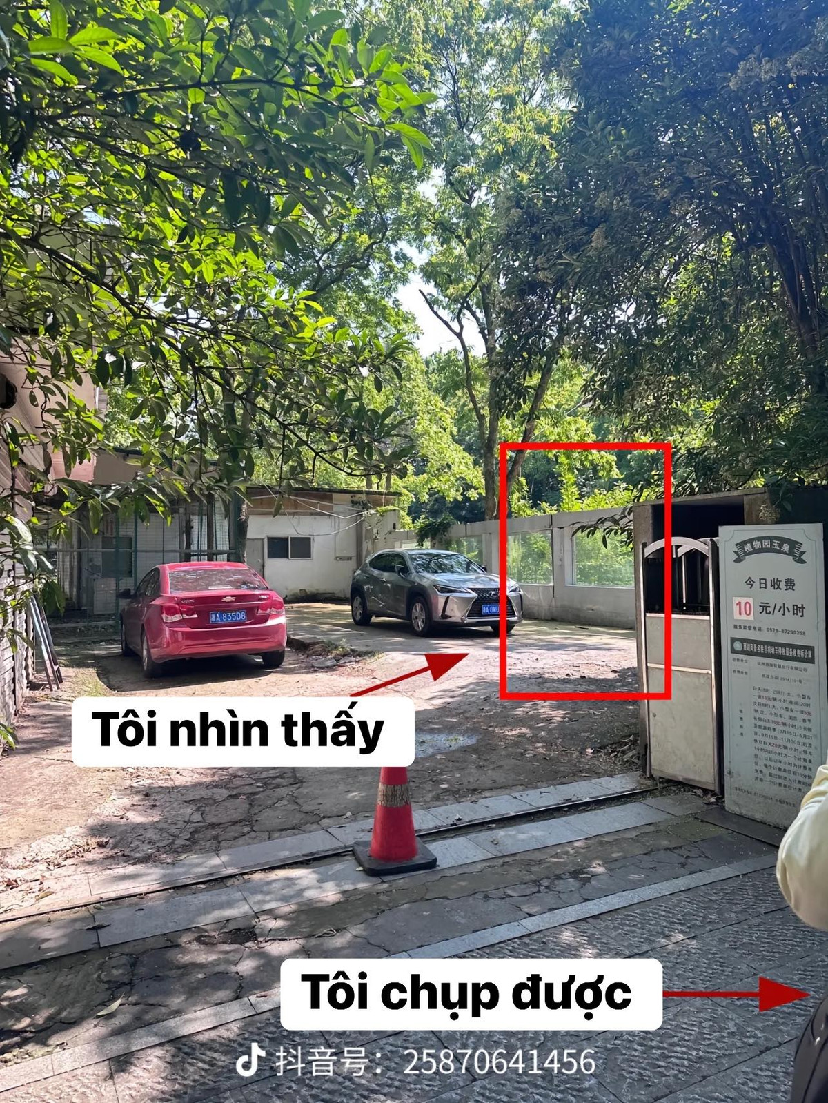 Nhiều người không khỏi xuýt xoa với thành quả của những bức ảnh này.