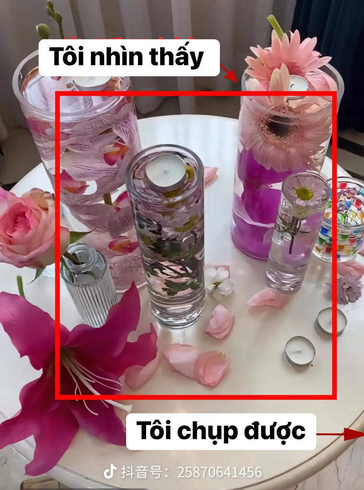 Nhiều người đã bày tỏ cảm xúc dưới những bức ảnh này: "Đúng là người có con mắt nghệ thuật nhìn gì cũng ra ảnh", "quan trọng phải là người mẫu xinh đi", "tầm quan trọng của có năng khiếu và không có năng khiếu".