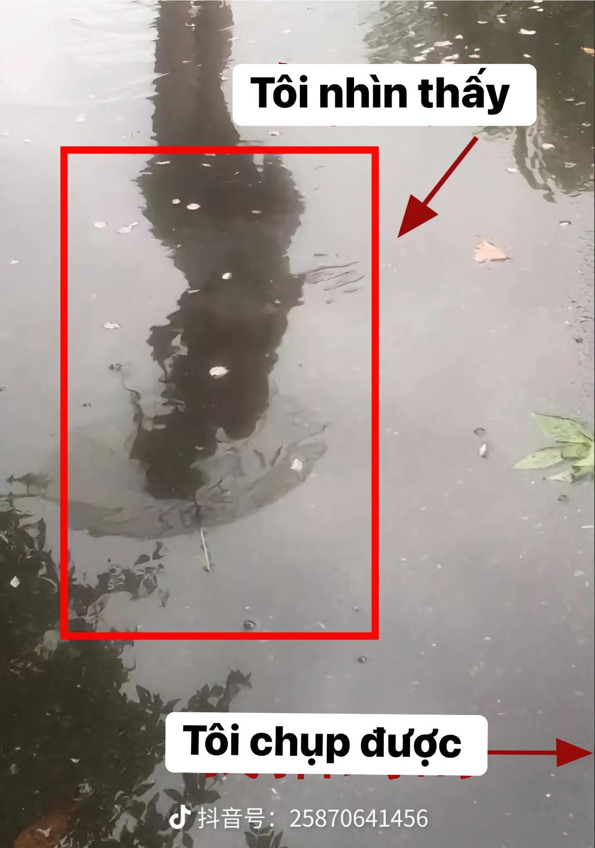 Cách nhìn bình thường...