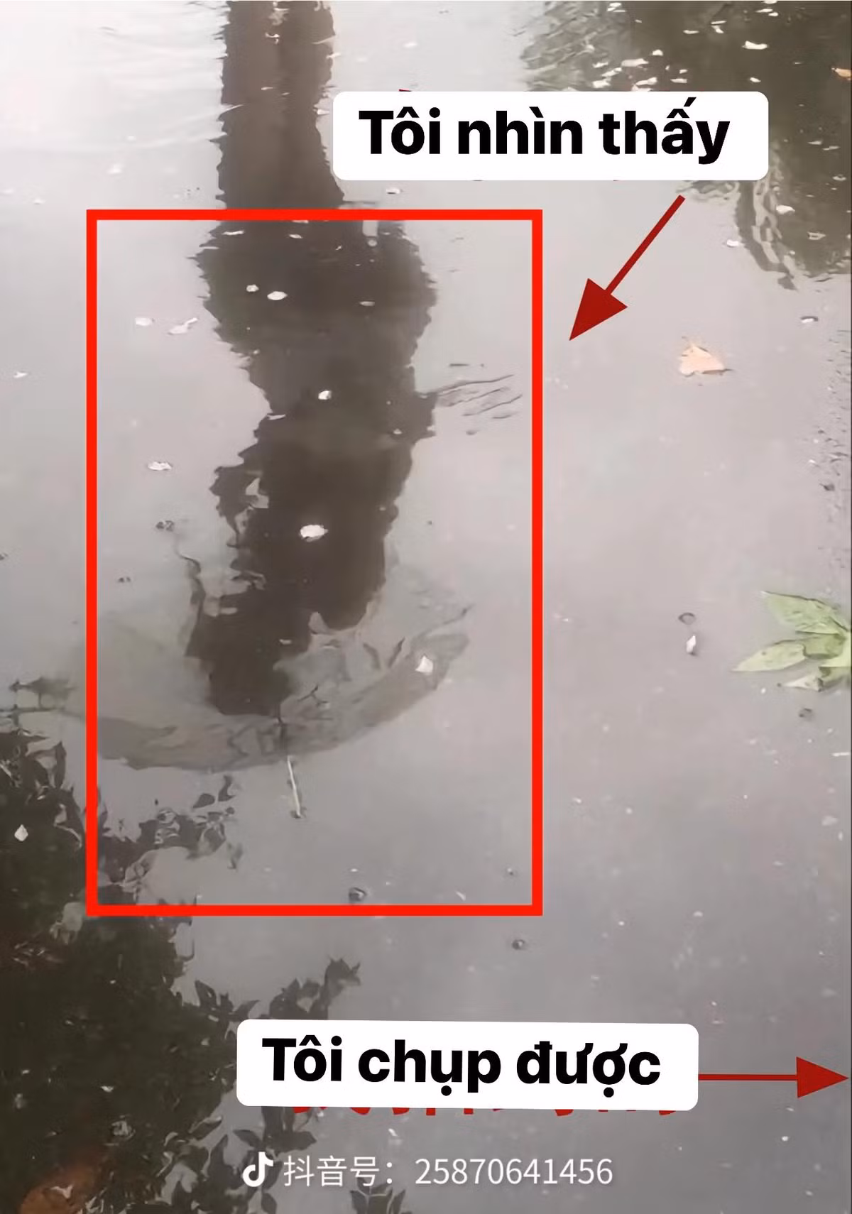 Cách nhìn bình thường...