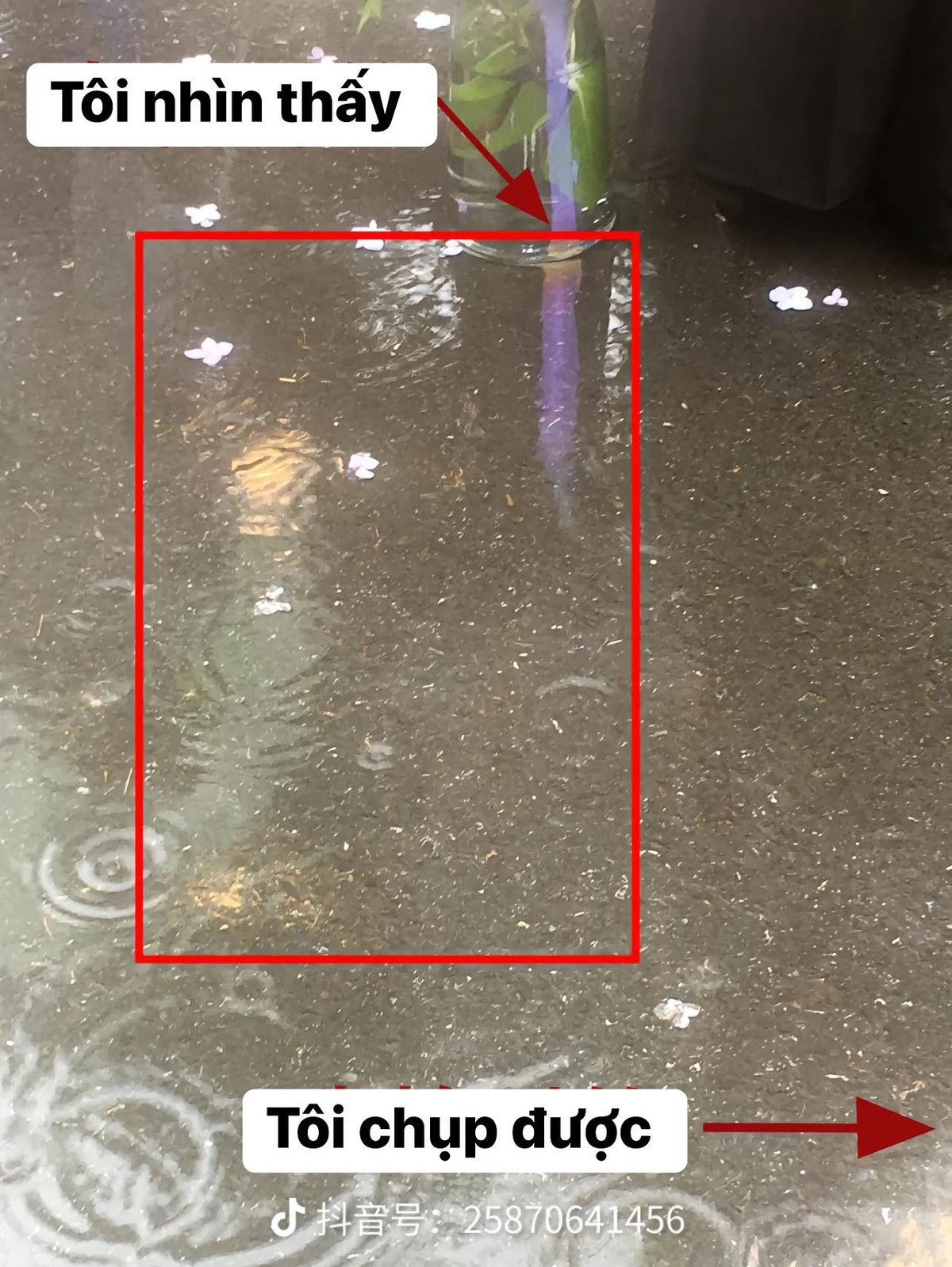 Người bình thường khi nhìn 1 vũng nước...