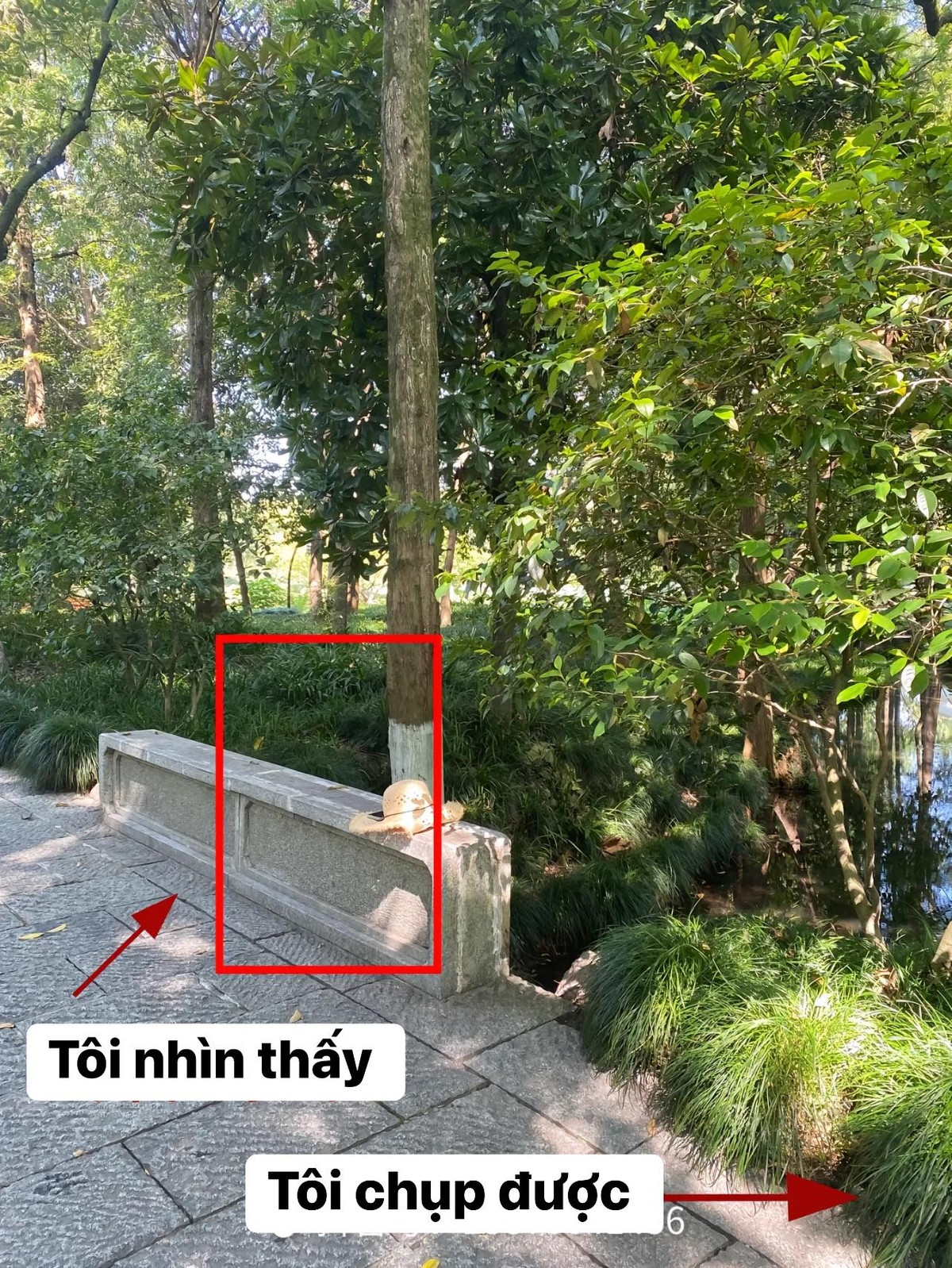 Khung cảnh tưởng chừng như rất quen thuộc...