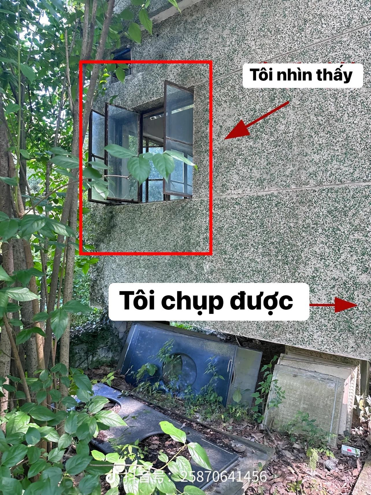 Một chiếc cửa sổ bình thường.