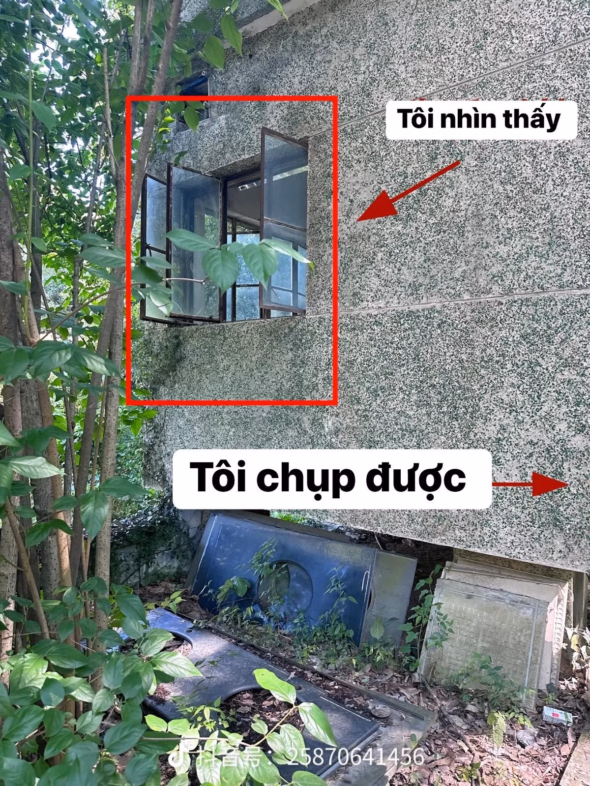 Một chiếc cửa sổ bình thường.