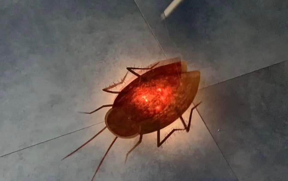 Chiếc đèn ai nhìn cũng tránh xa...