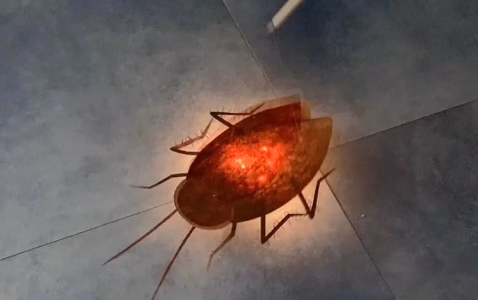 Chiếc đèn ai nhìn cũng tránh xa...