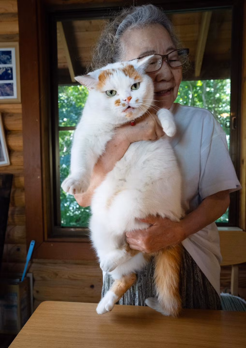 Gương mặt "không hiền cho lắm" nhưng không hề phản kháng khi được ôm ấp.