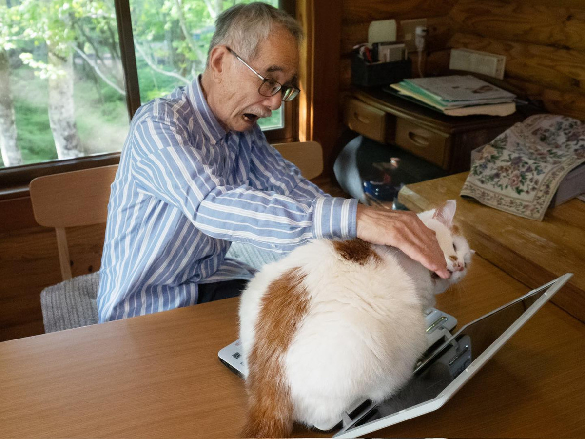 Ngồi hắn lên chiếc laptop, thậm chí gặm ngón tay chủ nhân.