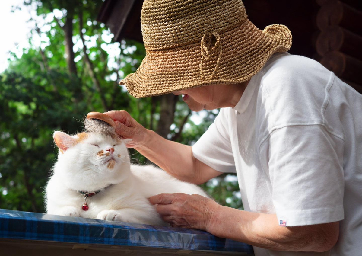 Ngồi im tận hưởng khi được bà chải chuốt.