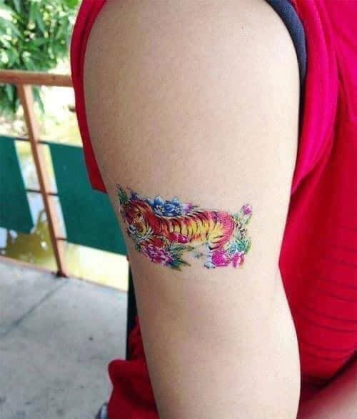 Hổ báo trường mẫu giáo...