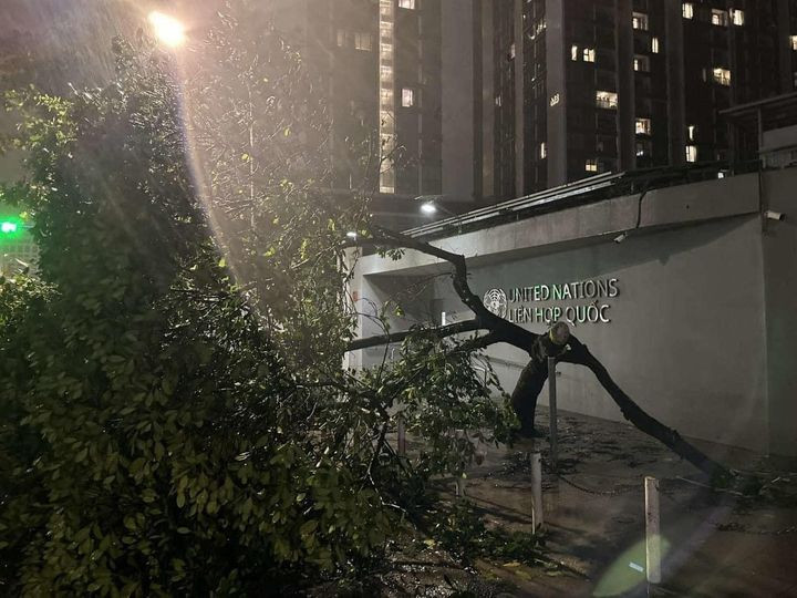 Cơn bão Yagi đi qua để lại khung cảnh tan hoang ở nhiều tuyến đường, khi hàng loạt cây xanh đều đổ rạp, gãy cành vì sức gió quá mạnh. Đến cả cây mít từng được mệnh danh "an toàn nhất Việt Nam" cũng không thể chống chọi lại với thiên tai.