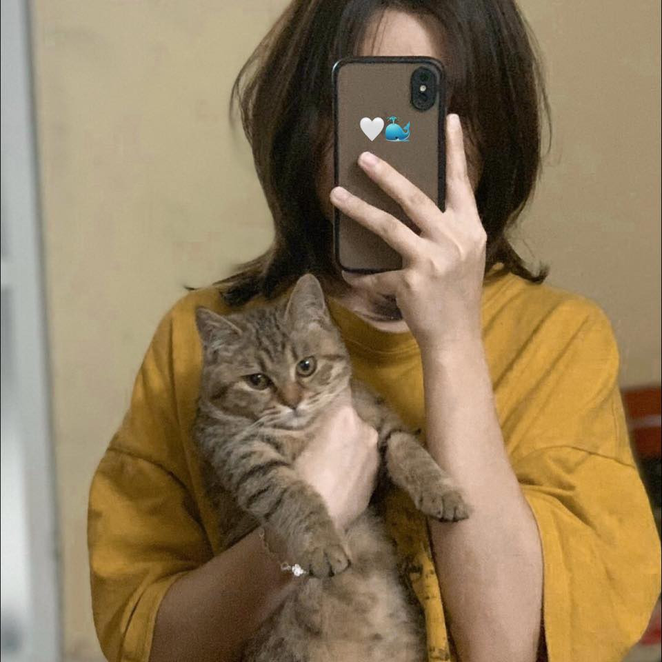 Hình ảnh của cô gái với chú mèo cưng ngày nào.