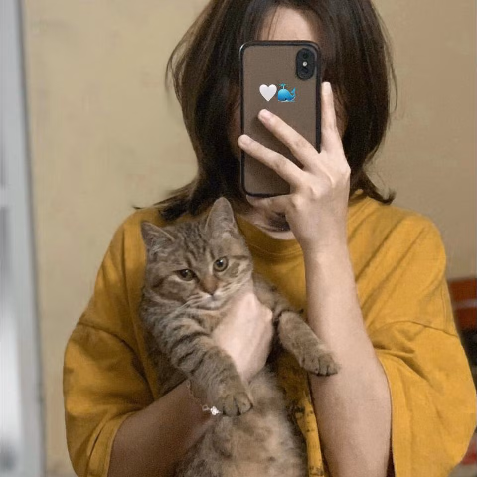 Hình ảnh của cô gái với chú mèo cưng ngày nào.