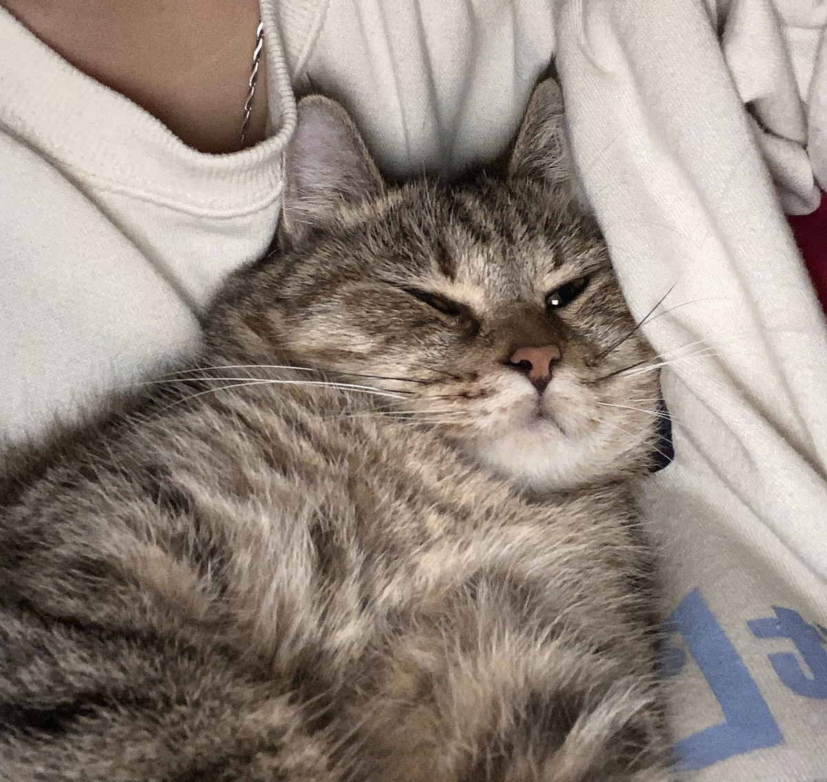 Tuy nhiên cũng 1 số ý kiến cho rằng chỉ vì một con vật mà đăng đàn tố bố ruột công khai như vậy là không nên: "Dù có tức giận thế nào thì đó vẫn là bố, không nên đăng đàn chỉ trích công khai như vậy", "có chuyện gì đóng cửa bảo nhau, sao lại làm ầm ĩ lên như thế".