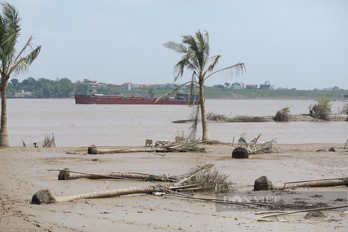 Có thể nói, khu vực ven sông Hồng đoạn đi qua Hà Nội bị ảnh hưởng rất nặng nề do lũ lụt, từ những ruộng rau, cây đến các công trình xây dựng, vui chơi... đều bị hư hỏng.