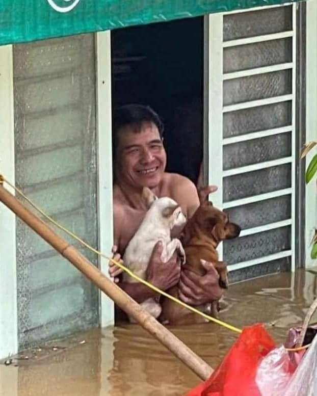 Trong một bức hình khác thì ghi lại khoảnh khắc một người dân dù nước đã ngập quá thắt lưng, đang chờ cứu hộ đến nhưng vẫn ôm 2 chú chó với nụ cười lạc quan trên môi.
