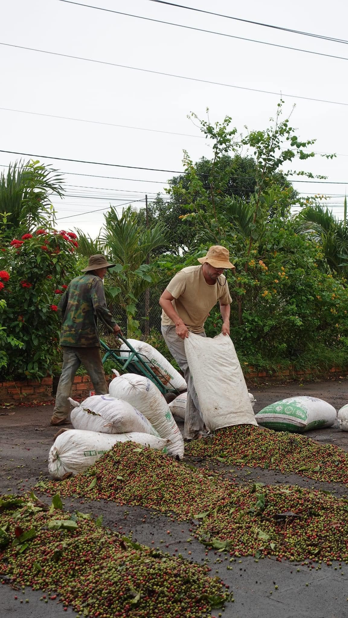 Hiện tại, cả hai rất hài lòng với cuộc sống ở Việt Nam. (Ảnh: FBNV)