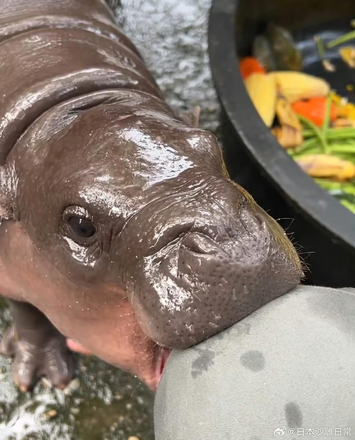 View - 5 trụ cột của khung tiêu chí đánh giá tín nhiệm người có ảnh hưởng (KOL) | Báo Tri thức và Cuộc sống - TIN TỨC PHỔ BIẾN KIẾN THỨC 24H