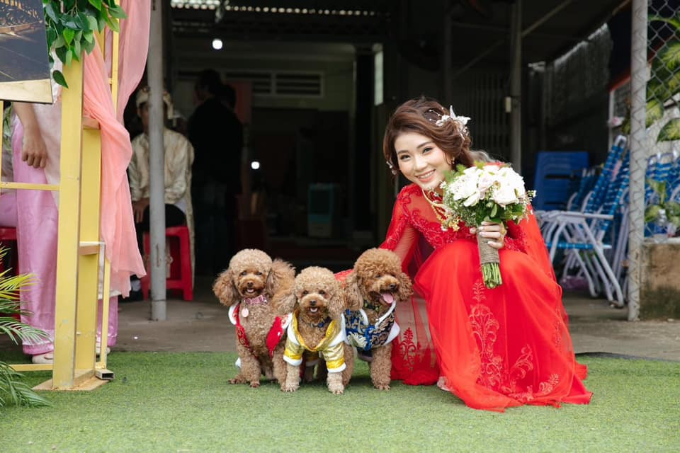 Những chú cún cũng được lên đồ "bảnh bao" trong ngày trọng đại của chủ nhân.