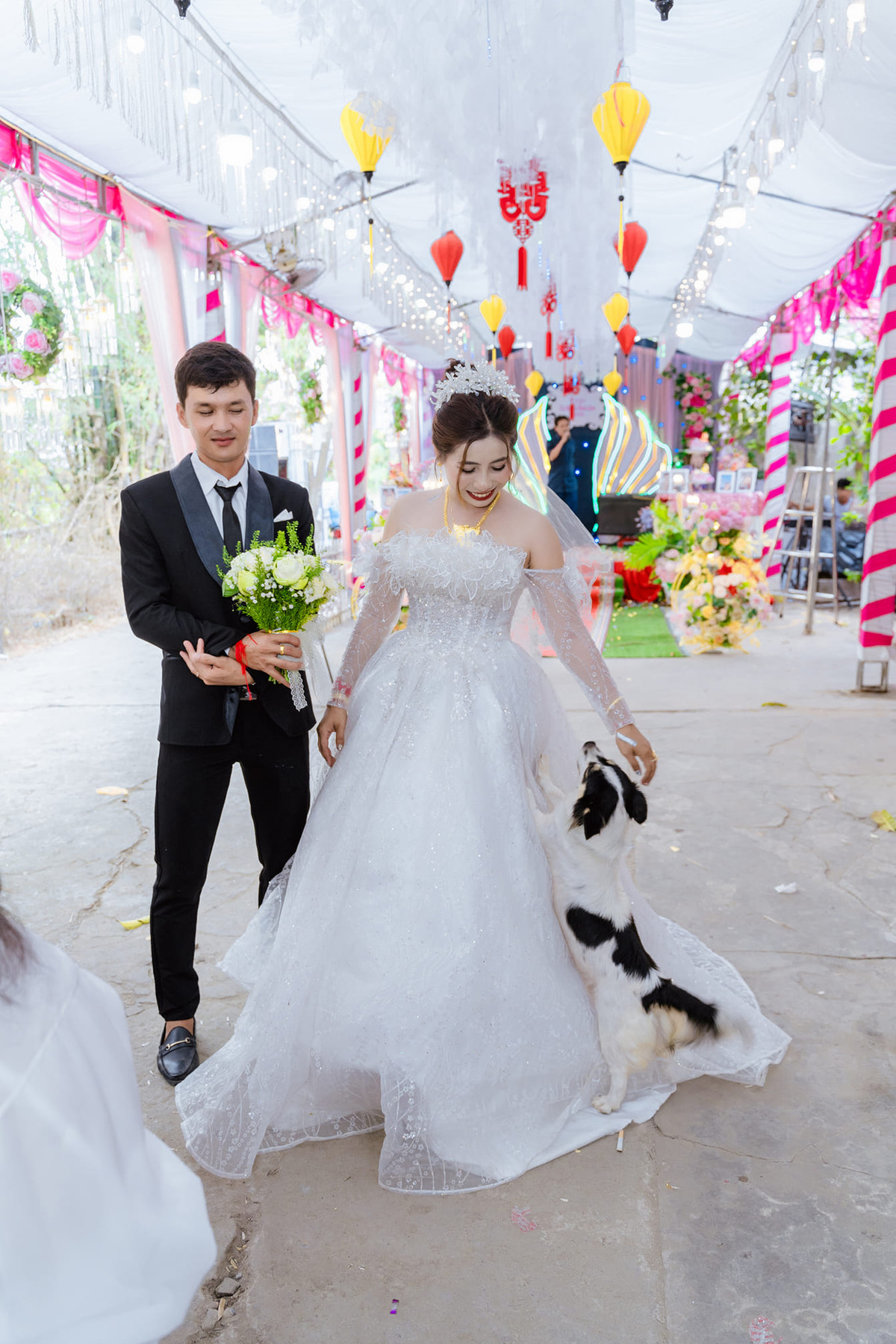 Chú cún này chắc vẫn bịn rịn, chưa tin được là chủ nhân đã đi lấy chồng nên mới bám dính thế này.