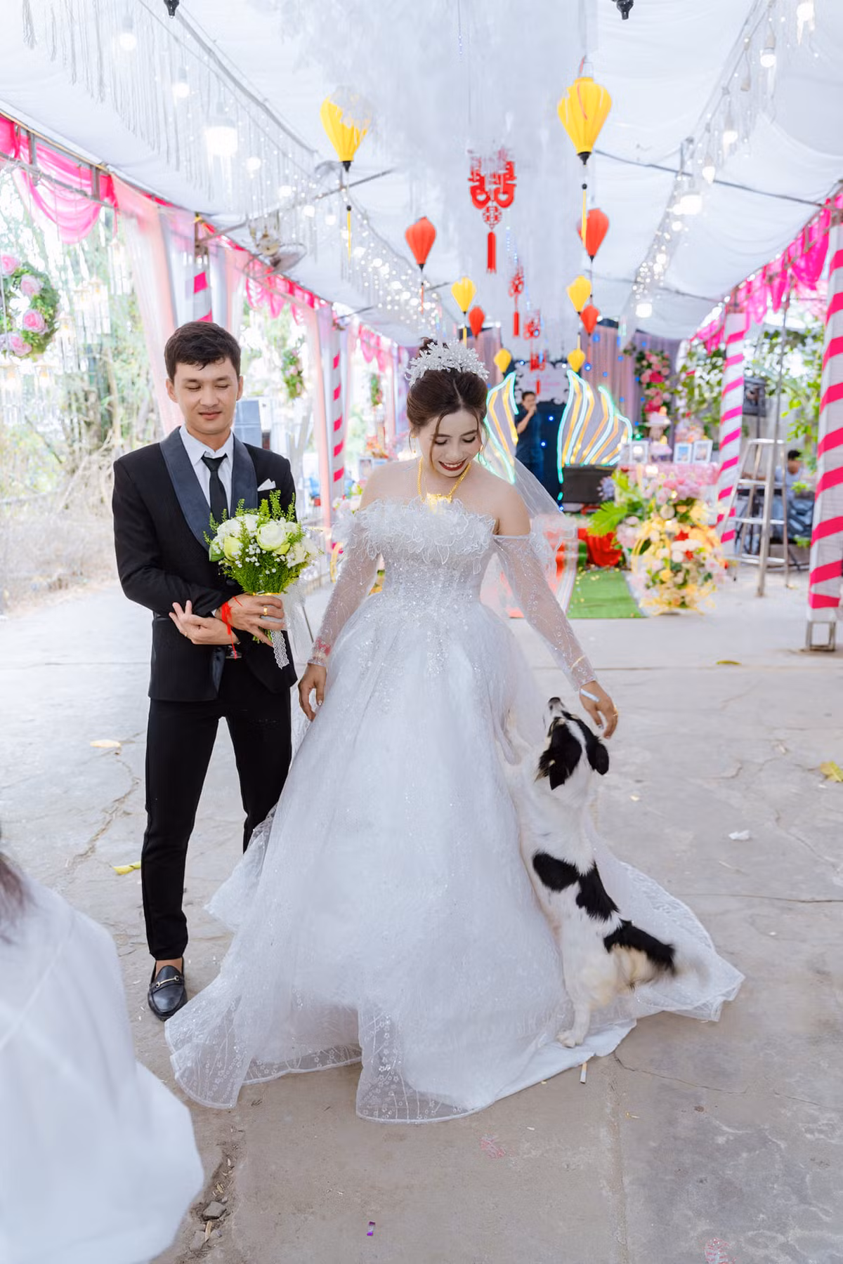 Chú cún này chắc vẫn bịn rịn, chưa tin được là chủ nhân đã đi lấy chồng nên mới bám dính thế này.