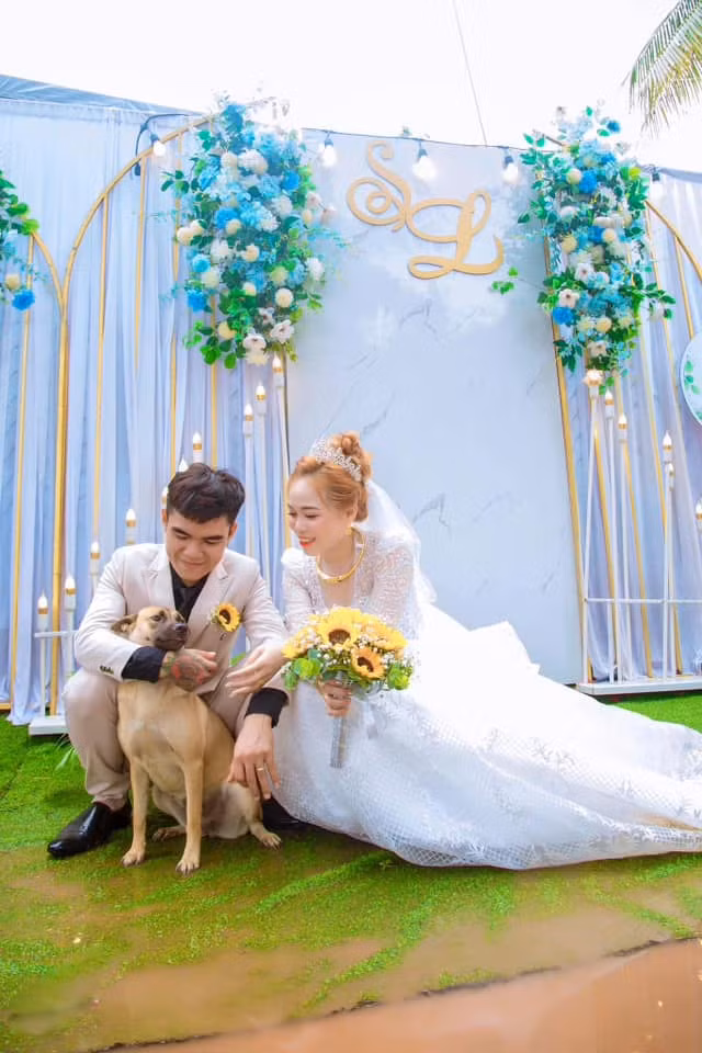 Gương mặt chú chó này còn vô cùng tự hào, hớn hở trong ngày cưới của chủ.