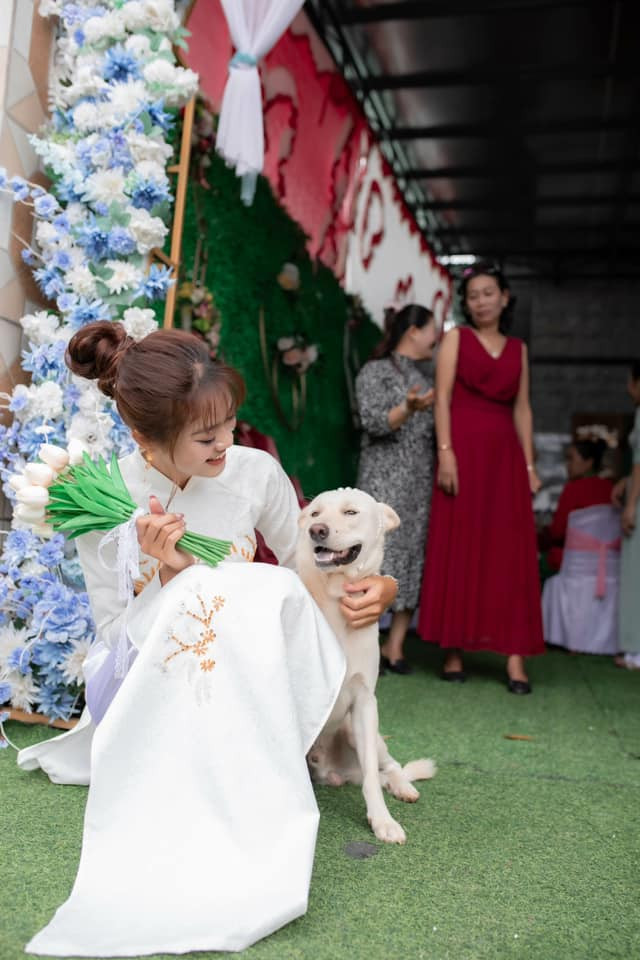 "Cuối cùng thì cũng có người lấy chị mình rồi", "haha bà chằn này có người hốt rồi vui quá bây ơi" - Netizen không khỏi bật cười và để lại bình luận hài hước dưới tấm ảnh này. (Ảnh: Tổng hợp Facebook)