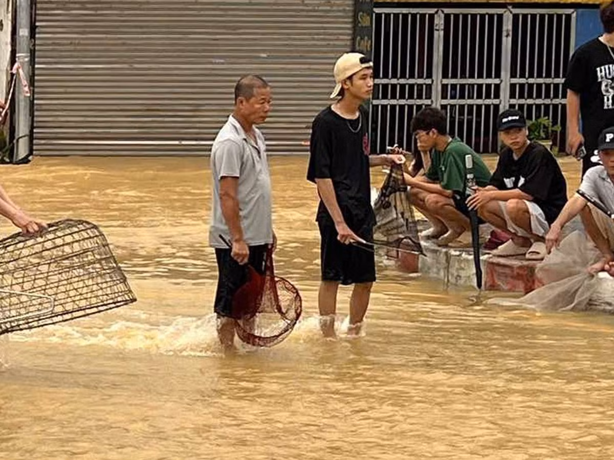 Người mang vợt, người mang lồng, người mang lưới...để bắt cá.