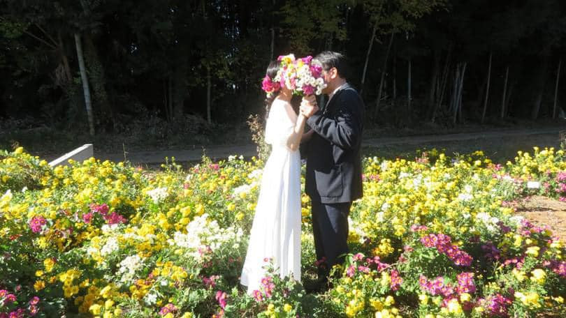 Quê Bến Tre, sang Nhật Bản làm việc từ năm 2015, đến năm 2016, Quyên vào làm việc tại chi nhánh công ty do Masato quản lý. Ngày đầu tiên đi làm, cô gặp Masato và ấn tượng ngay với anh bởi vẻ ngoài lịch lãm, nam tính.