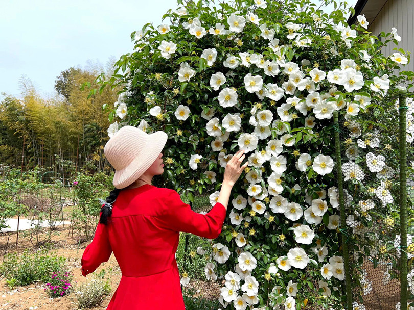 Mùa Valentine năm đó, Quyên quyết tâm tỏ tình dù cả hai chưa một lần trò chuyện trực tiếp.
