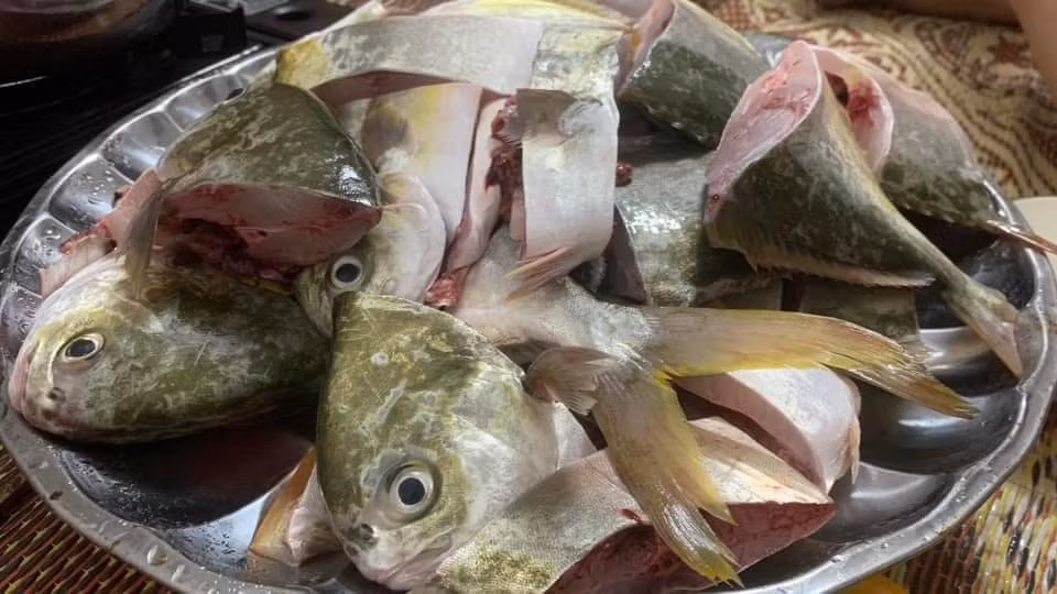 Nhiều người do số lượng cá nhặt về nhiều quá cũng đã chia cho người thân, hàng xóm.