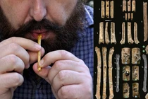 Tìm thấy 7 cây sáo mini 12.000 năm tuổi, chuyên gia sốc nặng