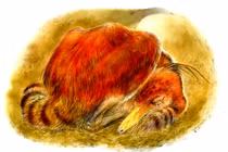  Bí ẩn khủng long 100 triệu tuổi ngủ cuộn tròn y hệt chim