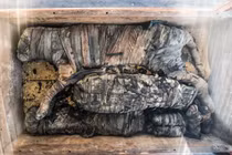 Tìm thấy xác ướp sư tử con, rắn hổ mang và cá sấu Ai Cập cổ đại 