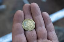 Kho báu 69 đồng tiền xu cổ bỗng trồi lên giữa lớp rêu rừng